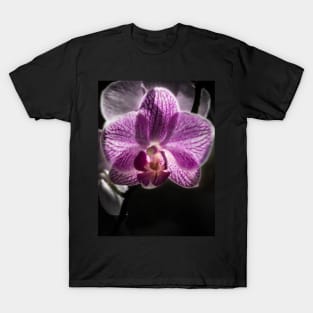 Purple Orchid T-Shirt